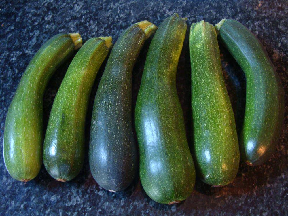 Buah Zucchini (flickr.com/jmackinnell)