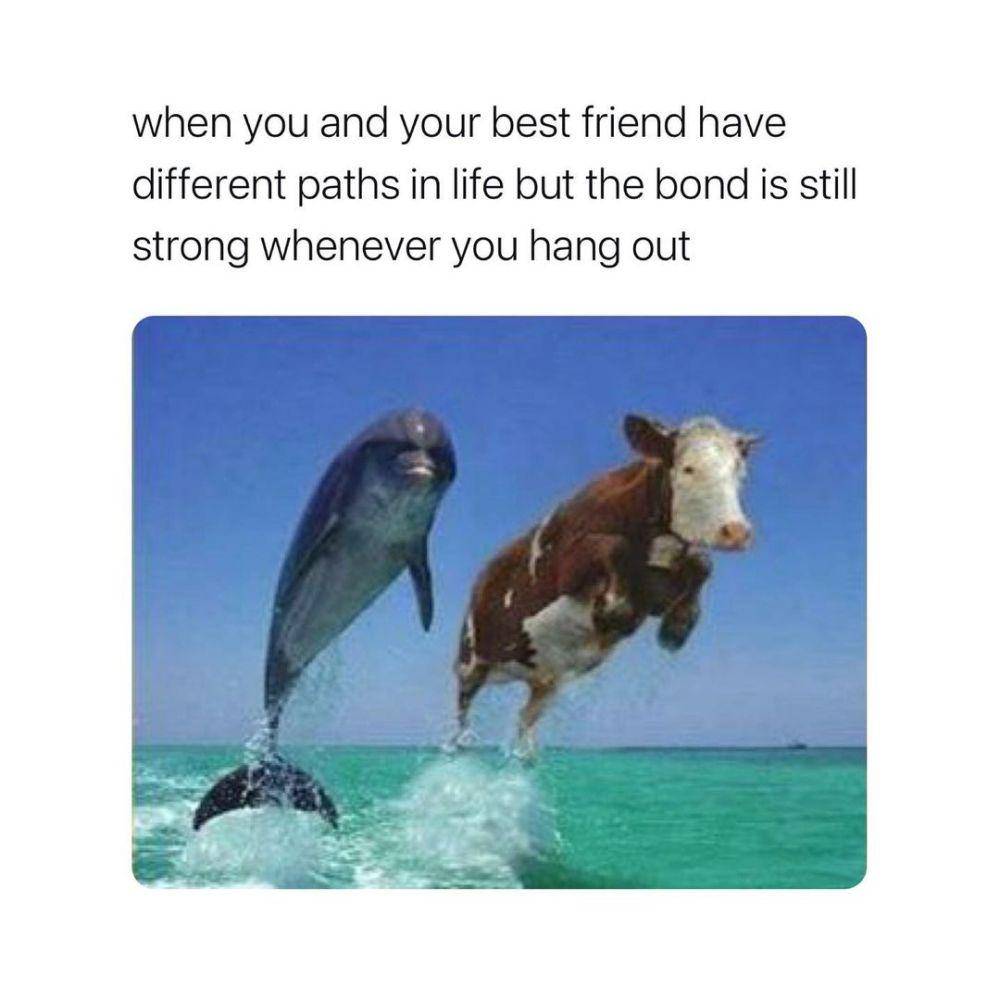 meme kamu dan bestie (instagram.com/releasingz)