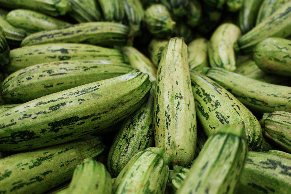 Zucchini (pixabay.com/outsideclick)