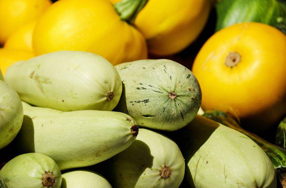 Zucchini (pixabay.com/Couleur)