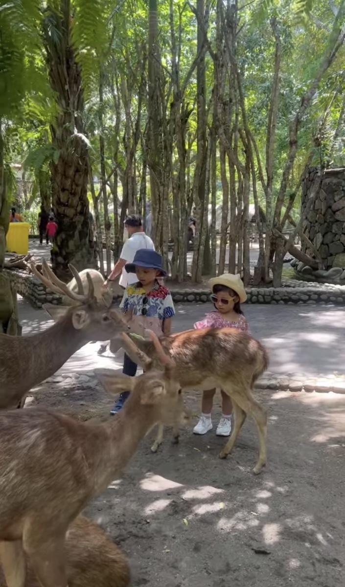 potret liburan Rachel Vennya, Niko, Xabiru dan Chava ke Bali Zoo (instagram.com/rachelvennya)