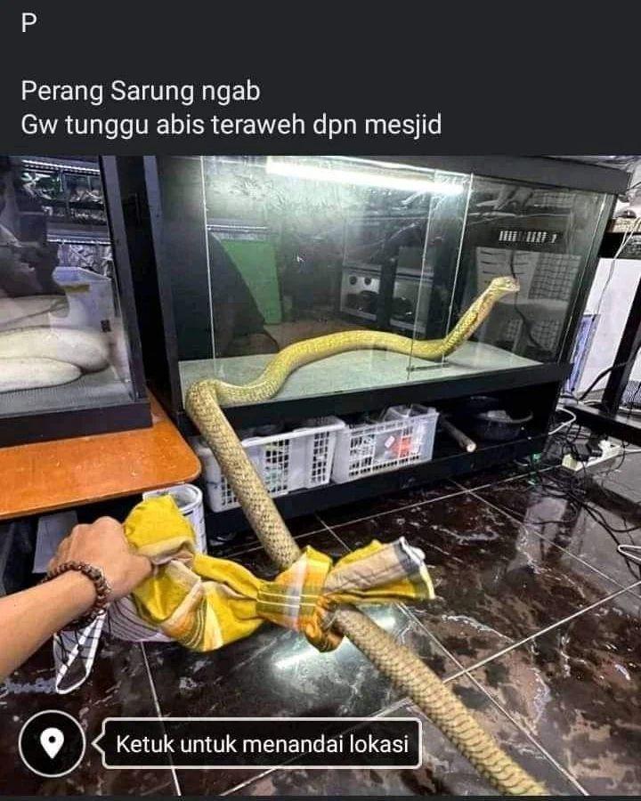 meme perang sarung (instagram.com/rakyat_plus_62)