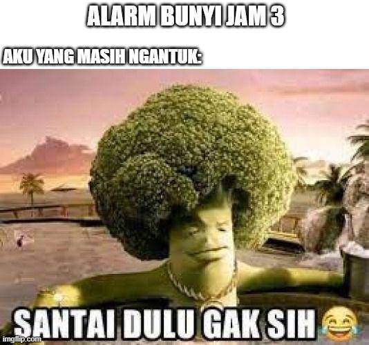 meme alarm sahur (dok. IDN Times)