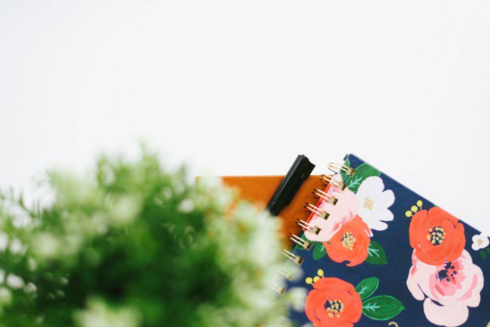 ilustrasi plant journal (unsplash.com/Elena Putina)