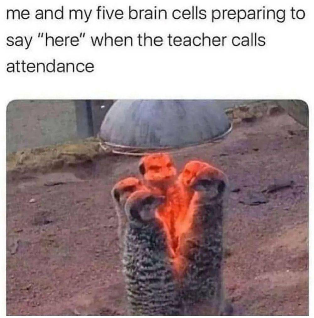 meme otak lemot (instagram.com/introvertsofsociety)