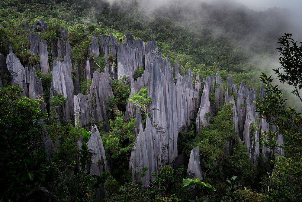 Taman Nasional Gunung Mulu (wikimedia.org/Nur Nafis Naim)