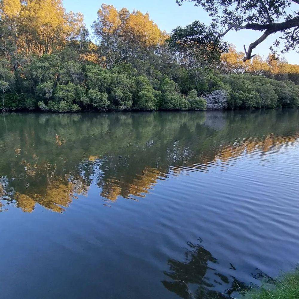 Sungai Lane Cove (instagram.com/friendsoflanecovenationalpark)