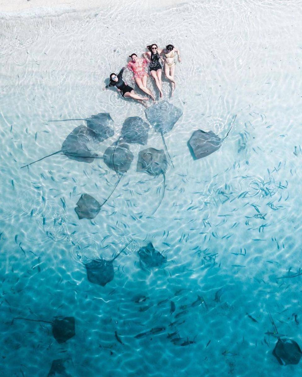 Gisel berenang dengan ikan pari (instagram.com/gisel_la)