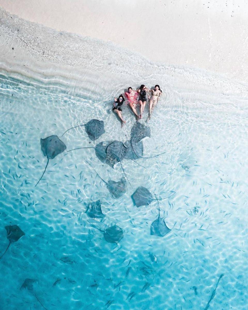 Gisel berenang dengan ikan pari (instagram.com/gisel_la)
