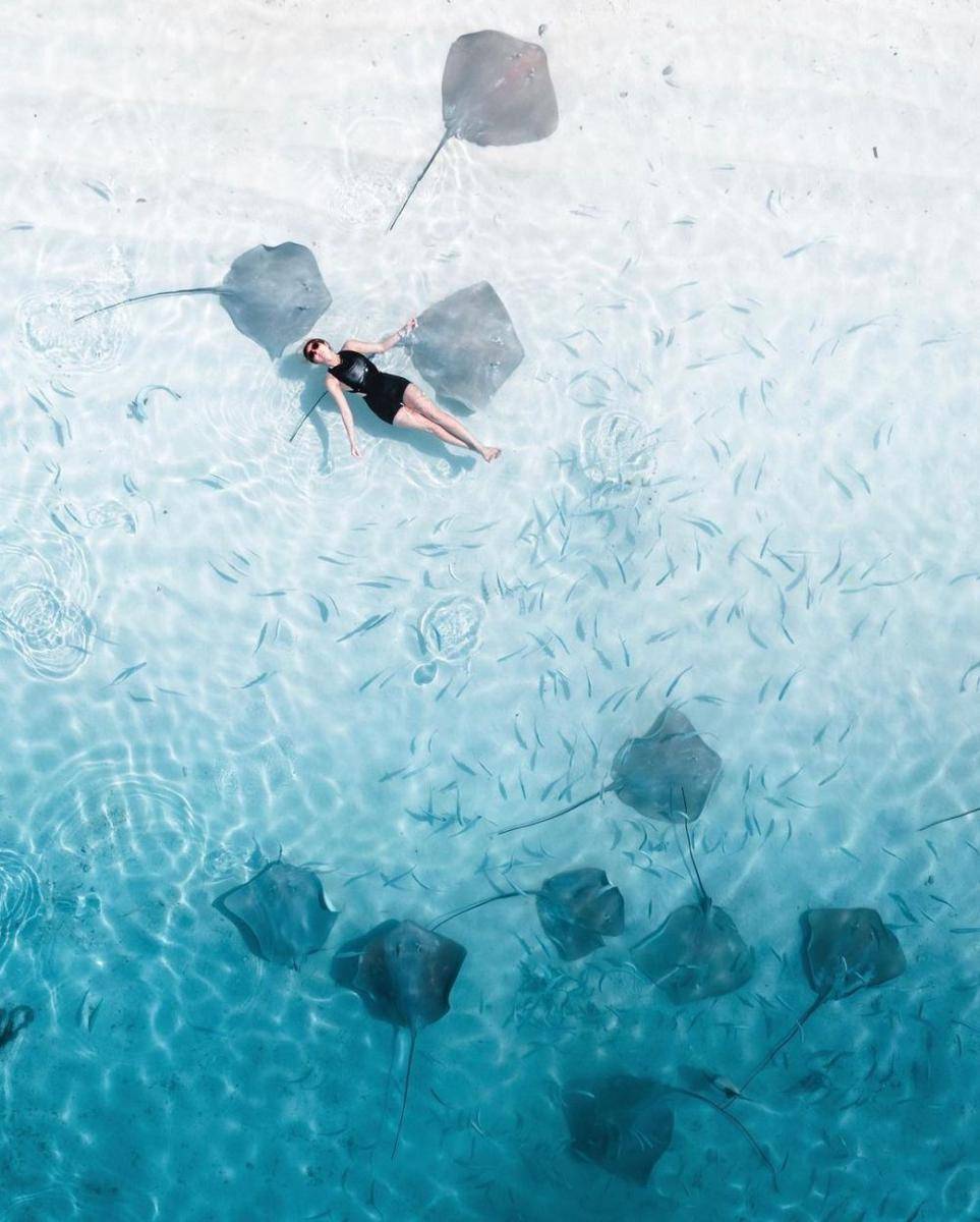 Gisel berenang dengan ikan pari (instagram.com/gisel_la)
