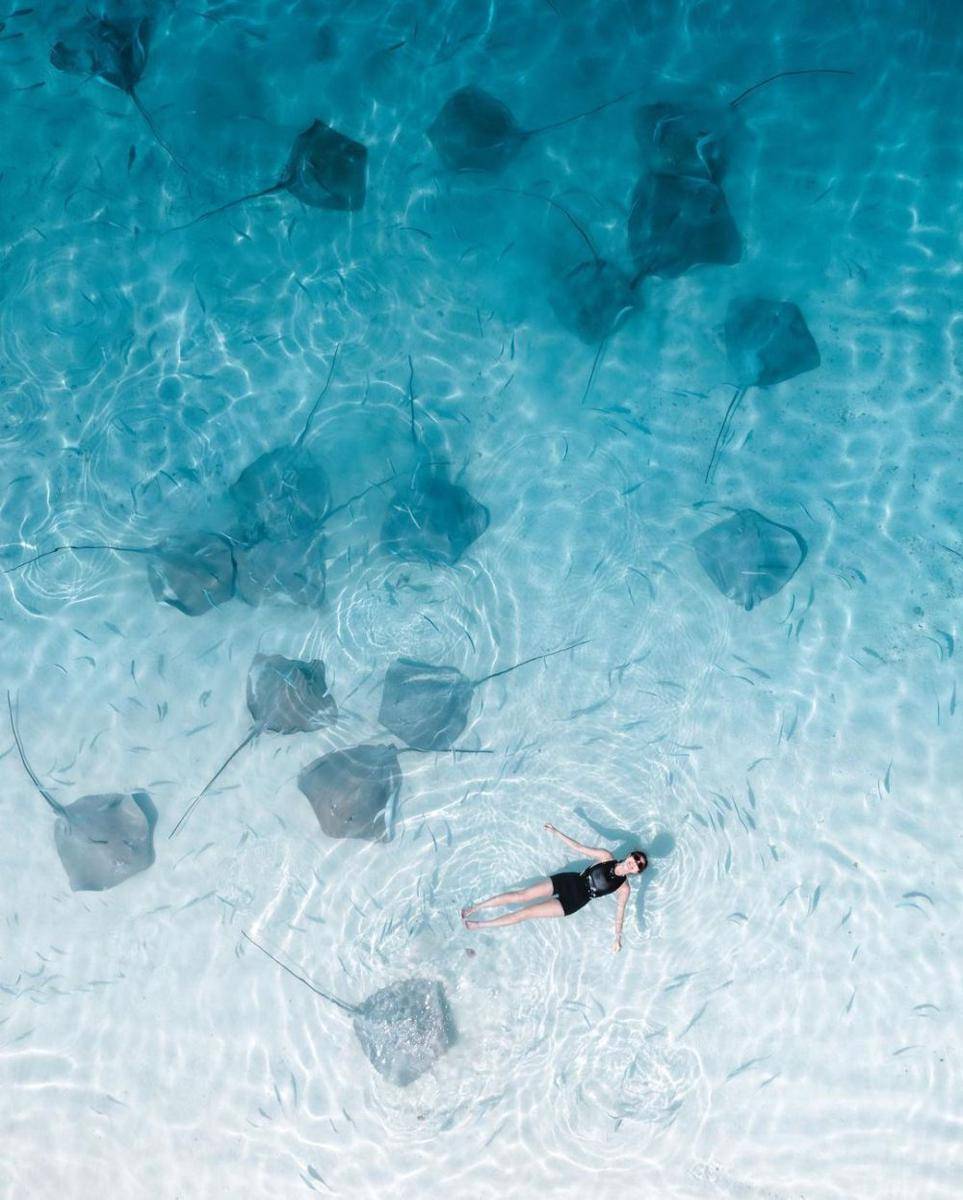 Gisel berenang dengan ikan pari (instagram.com/gisel_la)