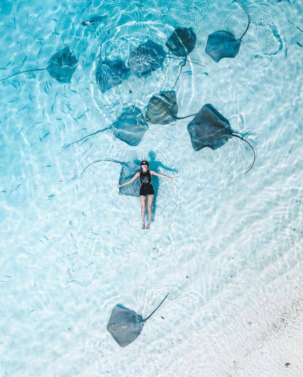 Gisel berenang dengan ikan pari (instagram.com/gisel_la)