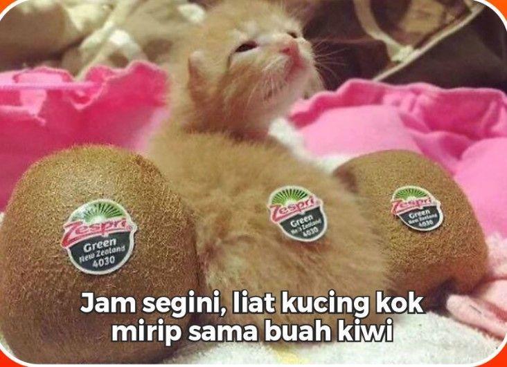 meme jam rawan batal puasa (instagram.com/awreceh.id)