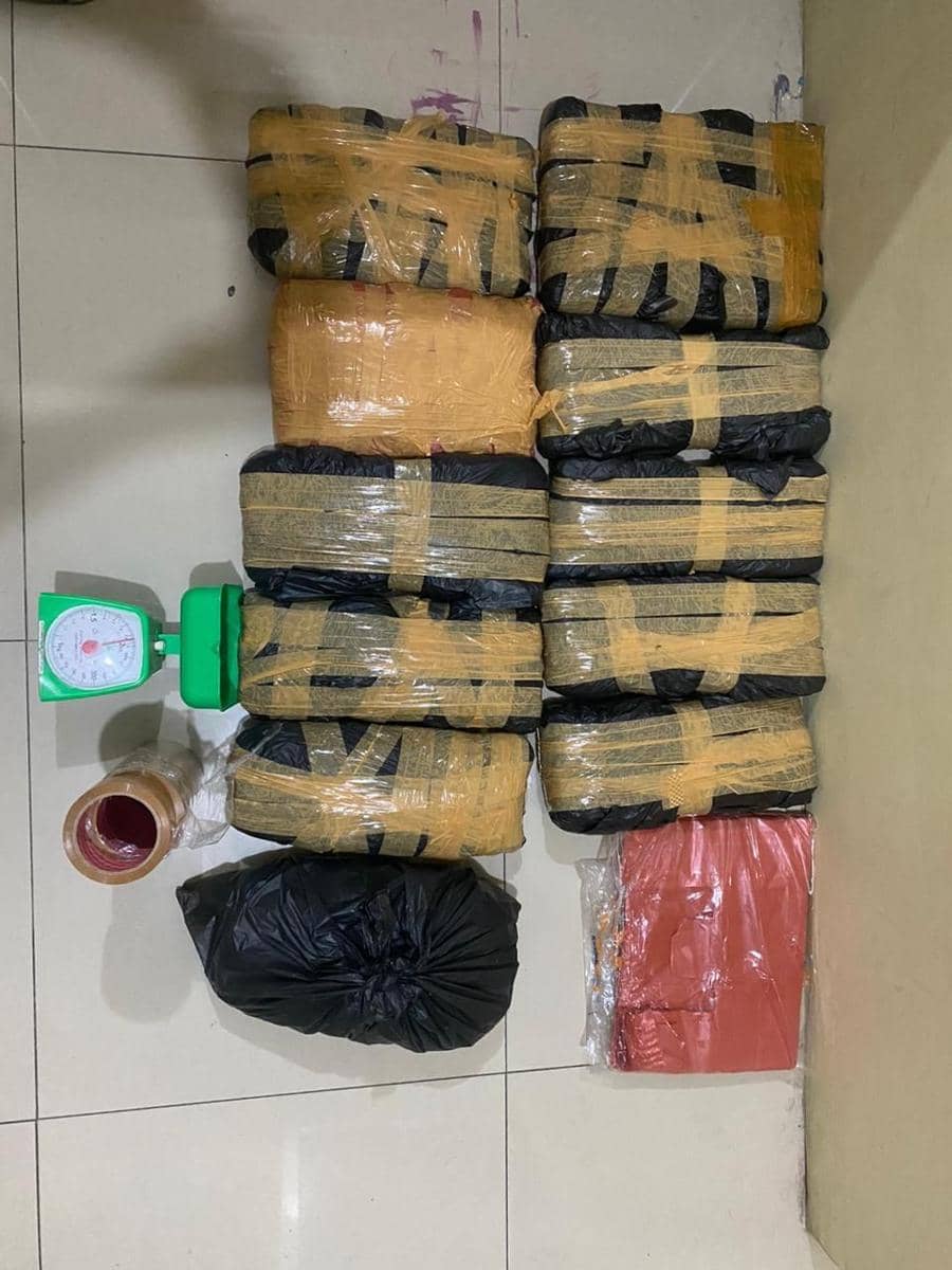 Barang bukti ganja yang diamankan polisi (IDN Times/ istimewa)