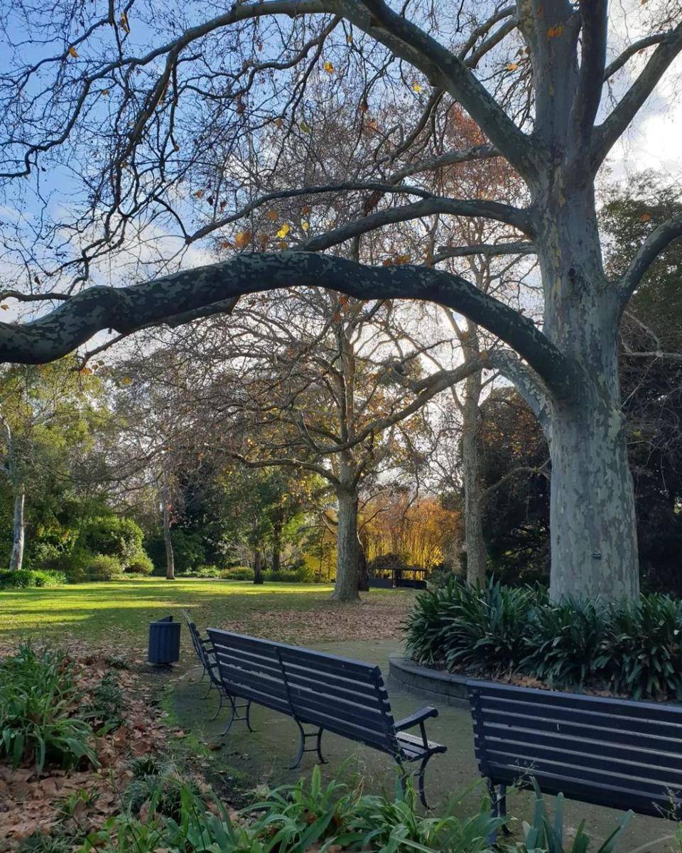 Potret Adelaide Botanic Garden (instagram.com/adelaidewriter)