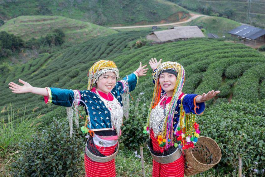 ilustrasi Sapa di Vietnam (freepik.com/jcomp)