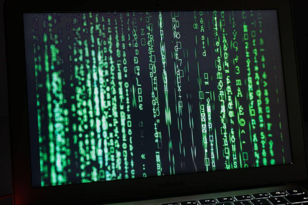 Unsplash/Compare Fibre