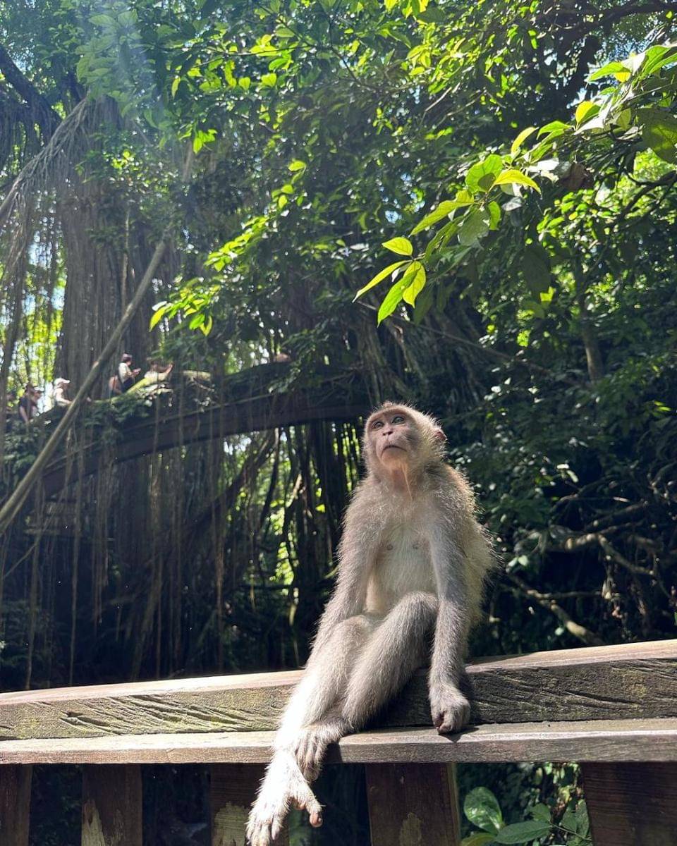 postingan Instagram Ahn Bo Hyun liburan di Bali (instagram.com/bohyunahn)