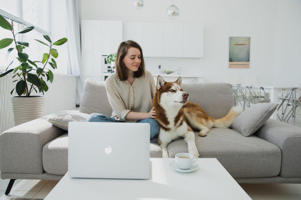 3 Skill yang Perlu Dikuasai Pet Owner, Berikan Perawatan yang Baik