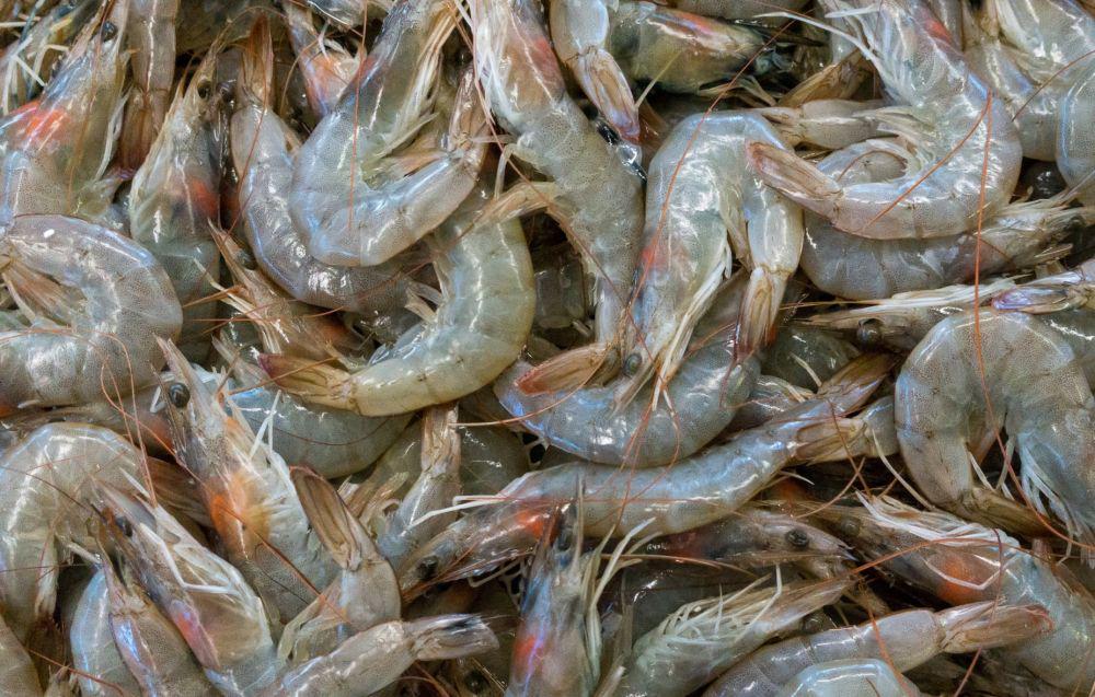 5 Tips Membeli Udang Segar, Aman Dikonsumsi!