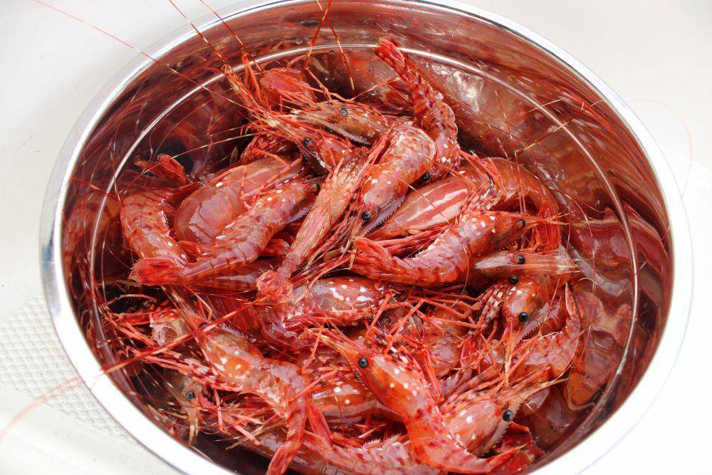 ilustrasi udang (unsplash.com/@westcoastrain)