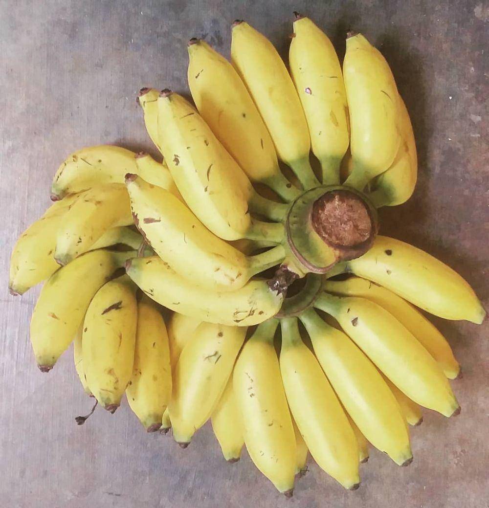 pisang uli (instagram.com/zarjeri)