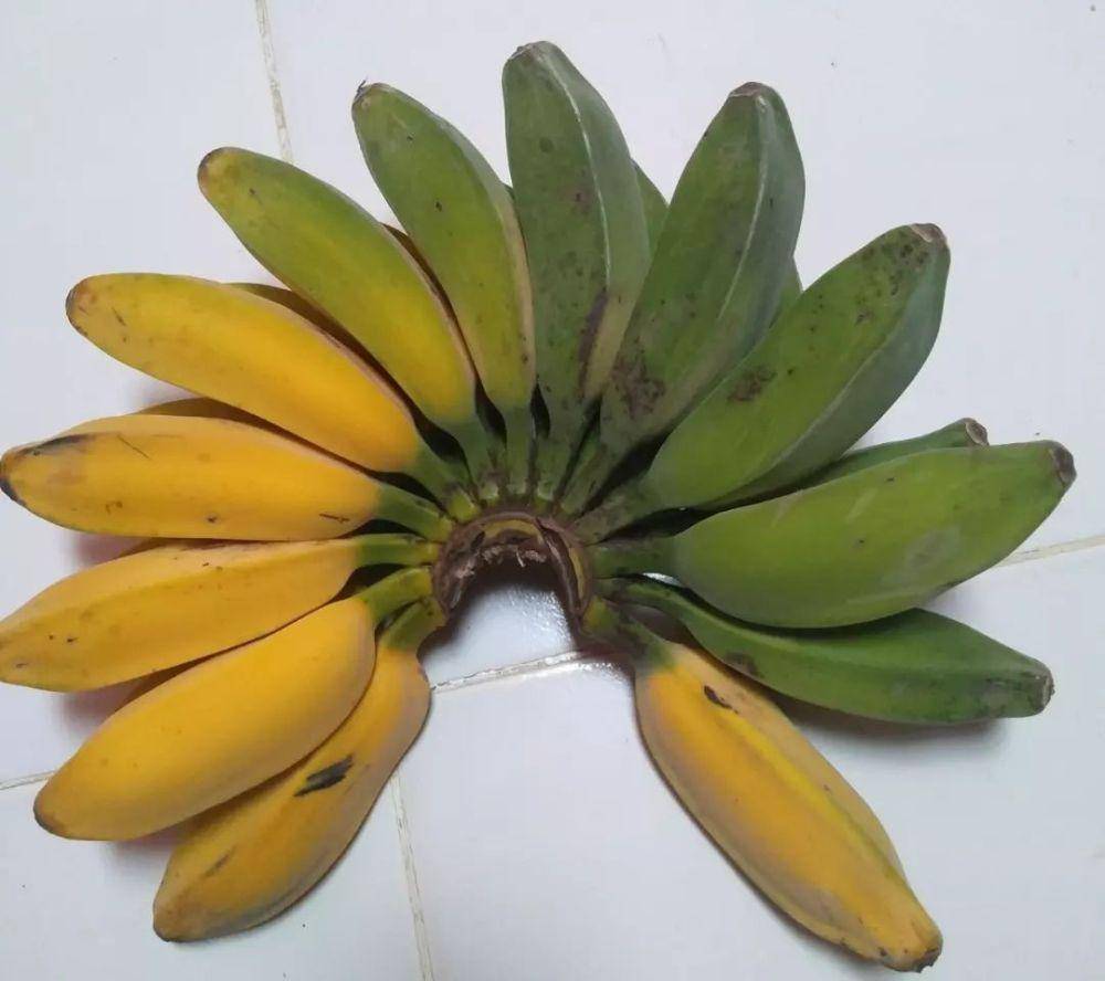 pisang kepok (instagram.com/yenipuji778)