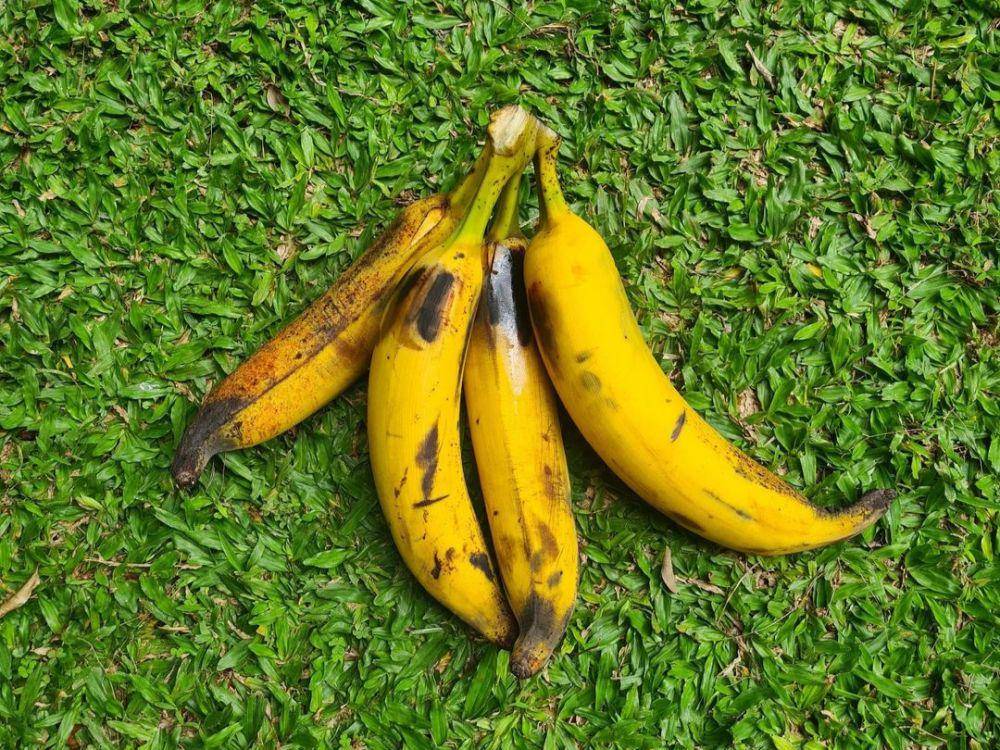 pisang tanduk (instagram.com/de_ta.man)