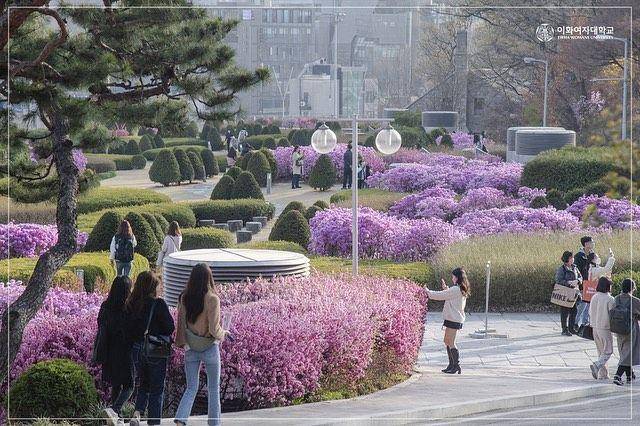 Keindahan taman Ewha Womans University (instagram.com/ewha.w.univ)