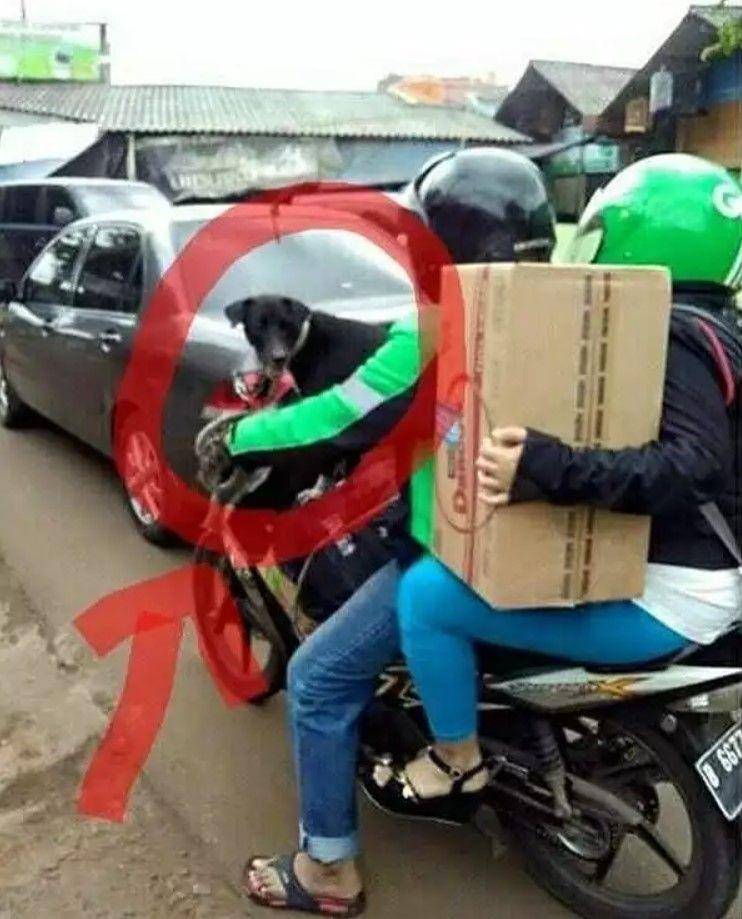 ojol dapat penumpang bawa barang (instagram.com/newdramaojol.id)