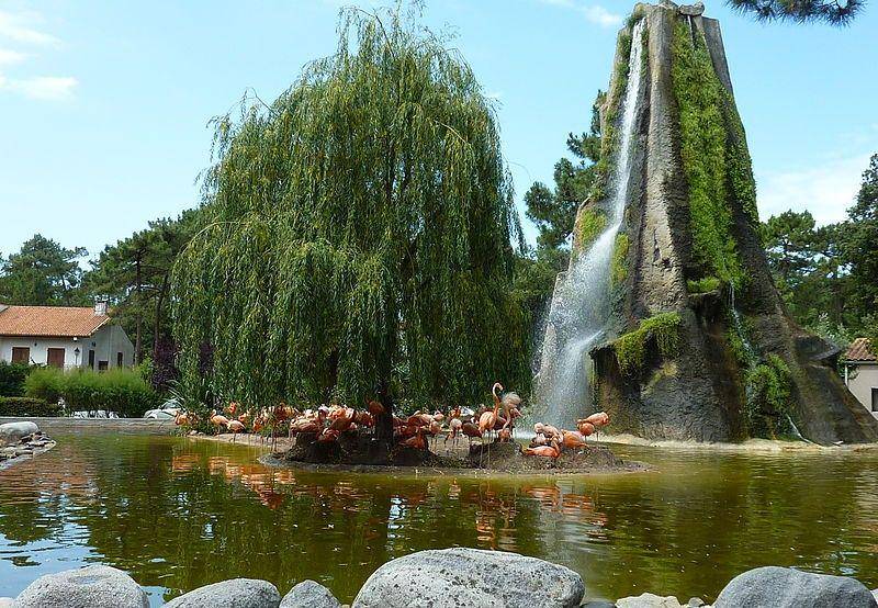 Le zoo de la Palmyre (commons.wikimedia.org/Patrick Despoix)