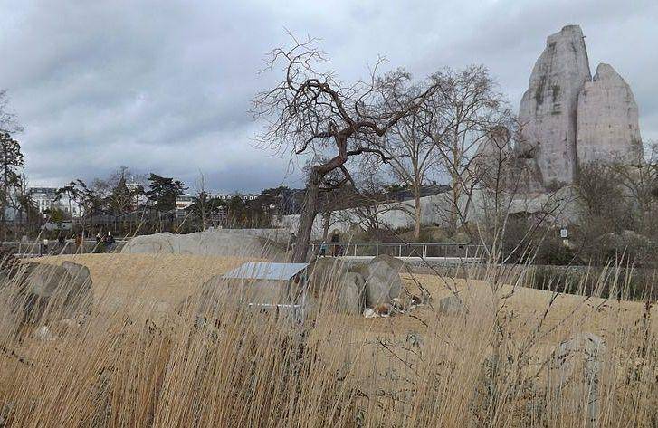 Parc Zoologique de Paris (commons.wikimedia.org/Leodras)