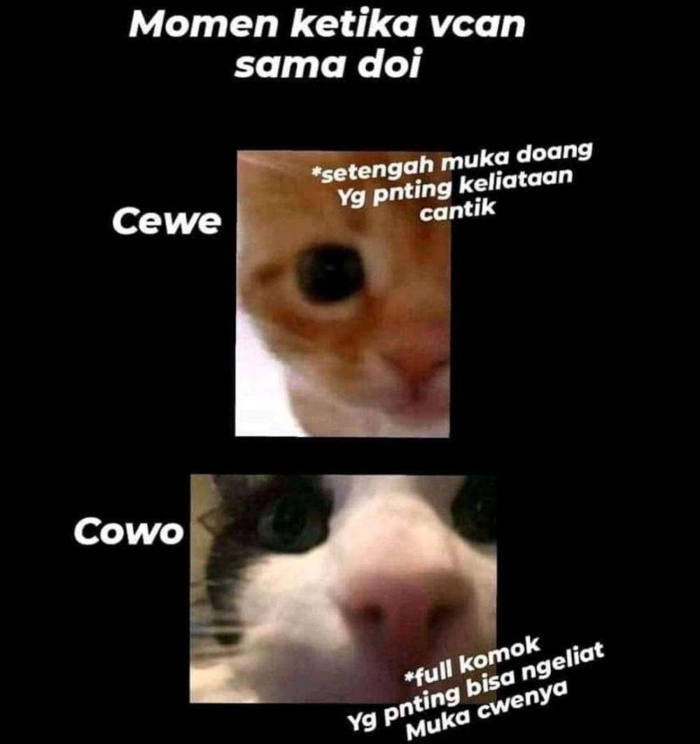 ilustrasi meme lucu kucing (instagram.com/deritasosmed)
