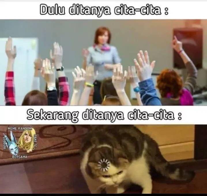 ilustrasi meme lucu kucing (instagram.com/deritasosmed)