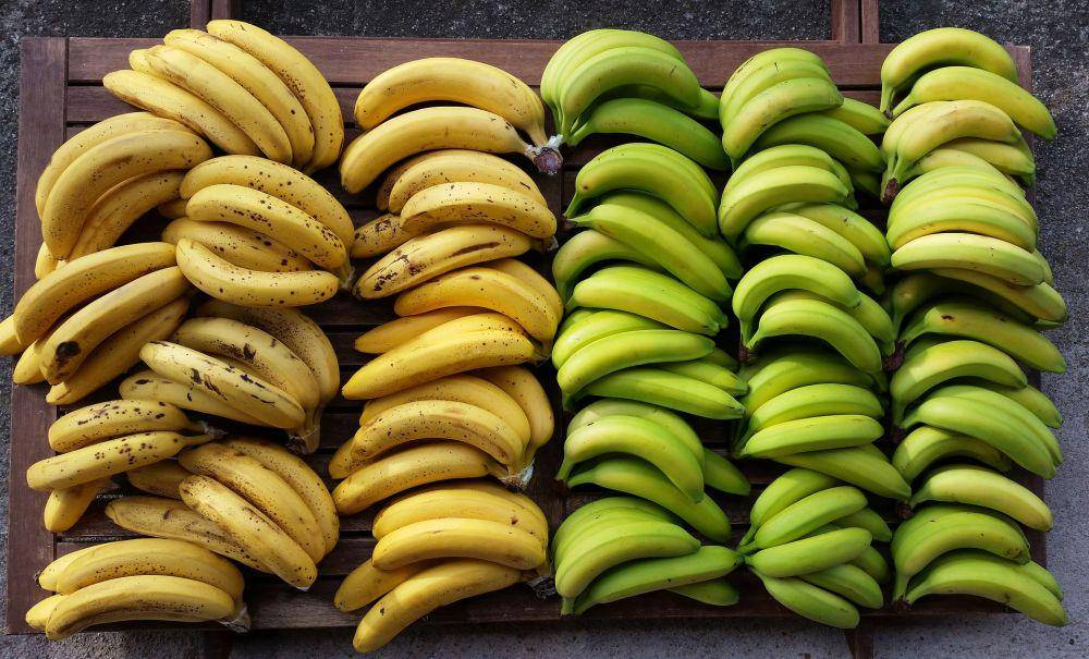 ilustrasi berbagai jenis pisang (pixabay.com/doucefrugalite)