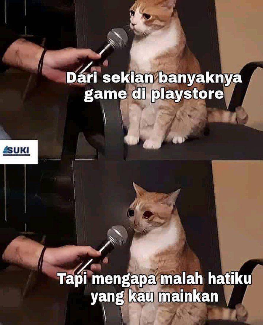 ilustrasi meme lucu kucing (instagram.com/deritasosmed)