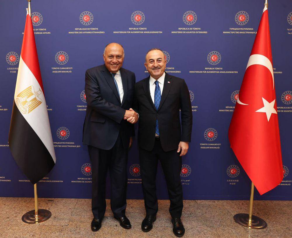 Sameh Shoukry dari Mesir dan Mevlut Cavusoglu dari Turki (Twitter.com/Mevlüt Çavuşoğlu)