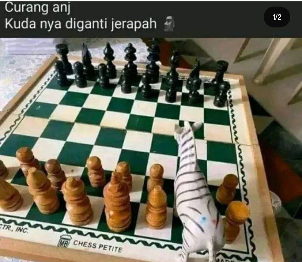 potret catur unik (instagram.com/aizenslocalpage)