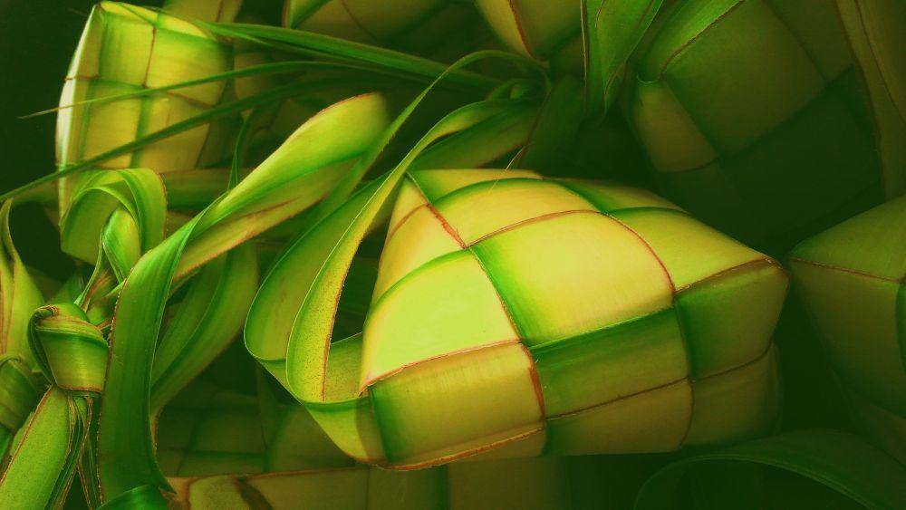 ilustrasi daun ketupat (unsplash.com/Rizky Yogatama)