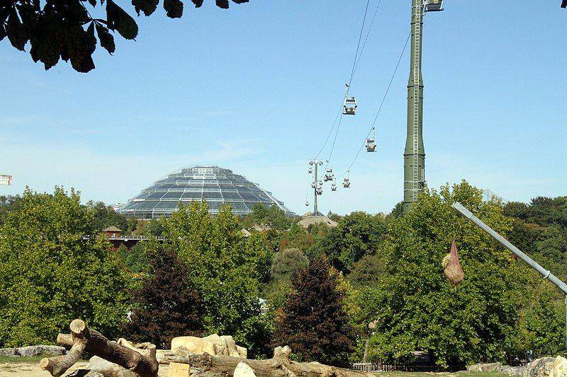 ZooParc de Beauval (commons.wikimedia.org/Hyppolyte de Saint Rambert)