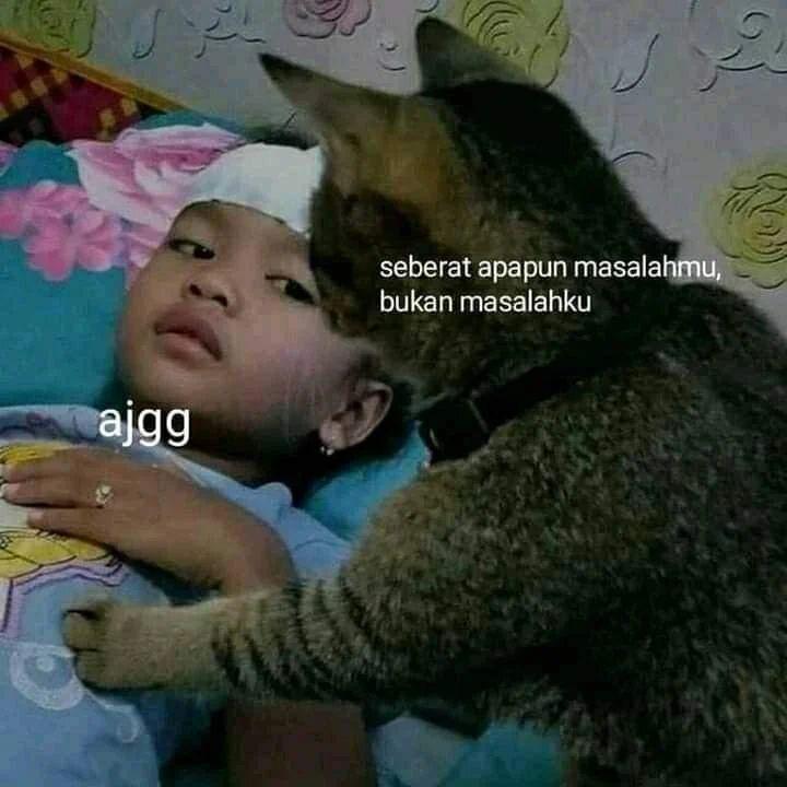 ilustrasi kucing sama majikan (instagram.com/misterrr.0)