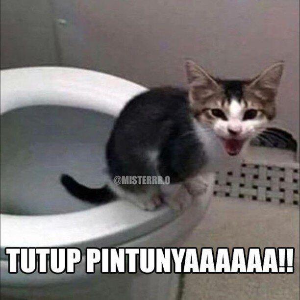 ilustrasi kucing sama majikan (instagram.com/misterrr.0)