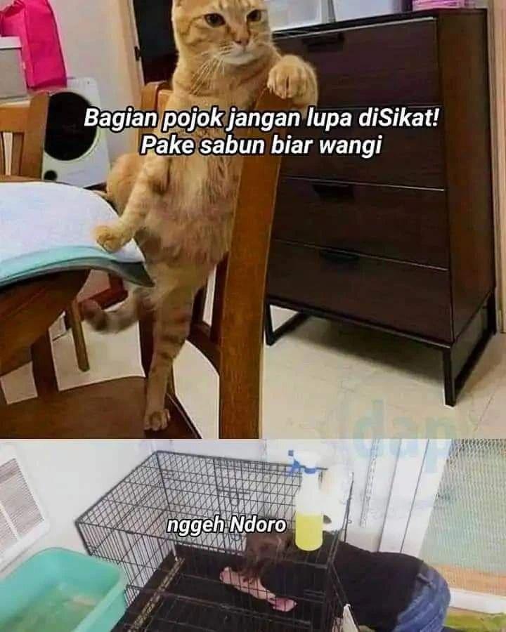 ilustrasi kucing sama majikan (instagram.com/misterrr.0)