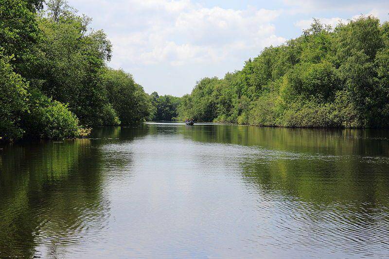 Taman Nasional De Weerribben Wieden (commons.wikimedia.org/Dominicus Johannes Bergsma)