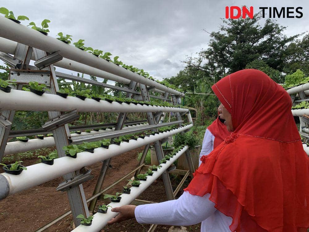 Ilustrasi petani. (IDN Times/Rohmah Mustaurida)