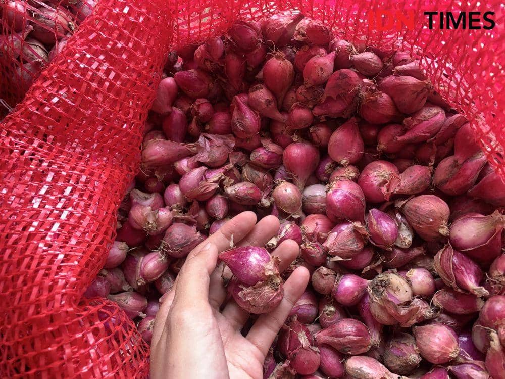Ilustrasi bawang merah. (IDN Times/Rohmah Mustaurida)