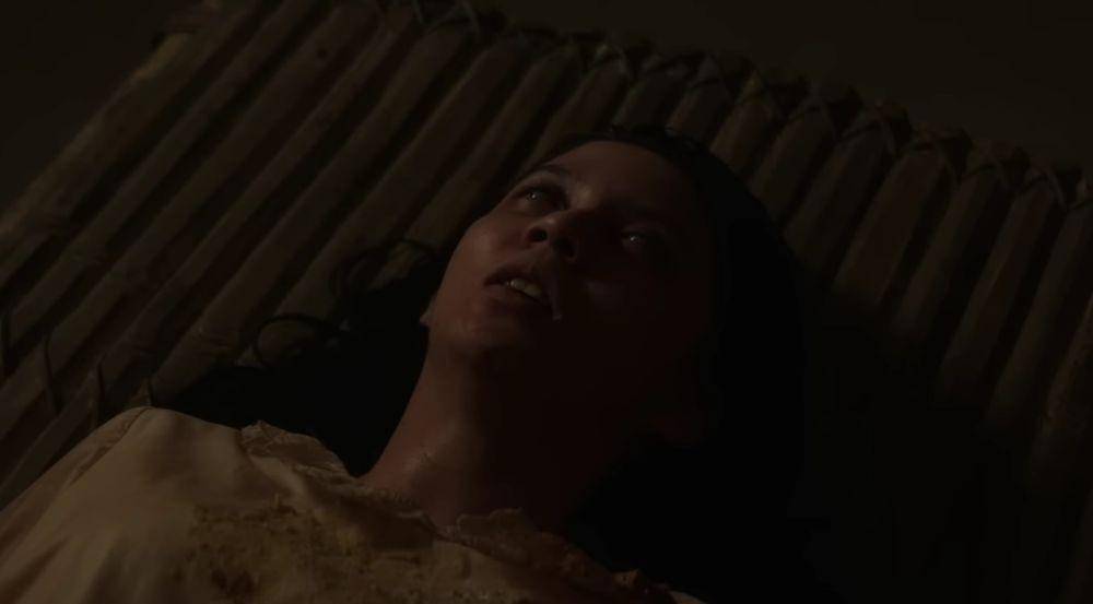 dok. MD Pictures/ Sewu Dino