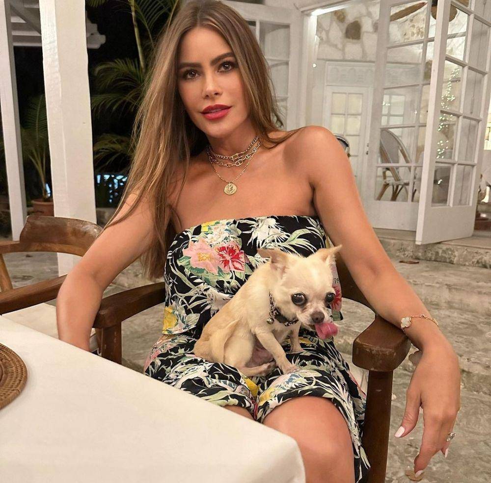 Sofia Vergara (instagram.com/sofiavergara)