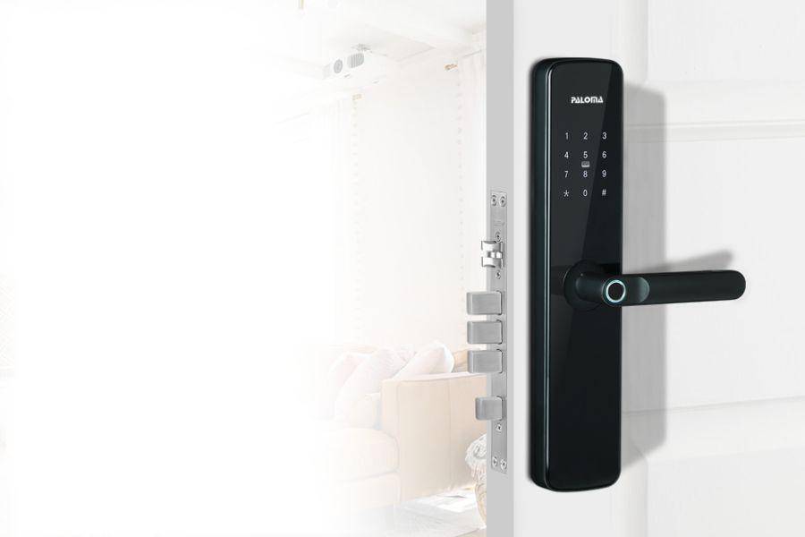 Paloma DLP 2101 (dok. Paloma Hardware)