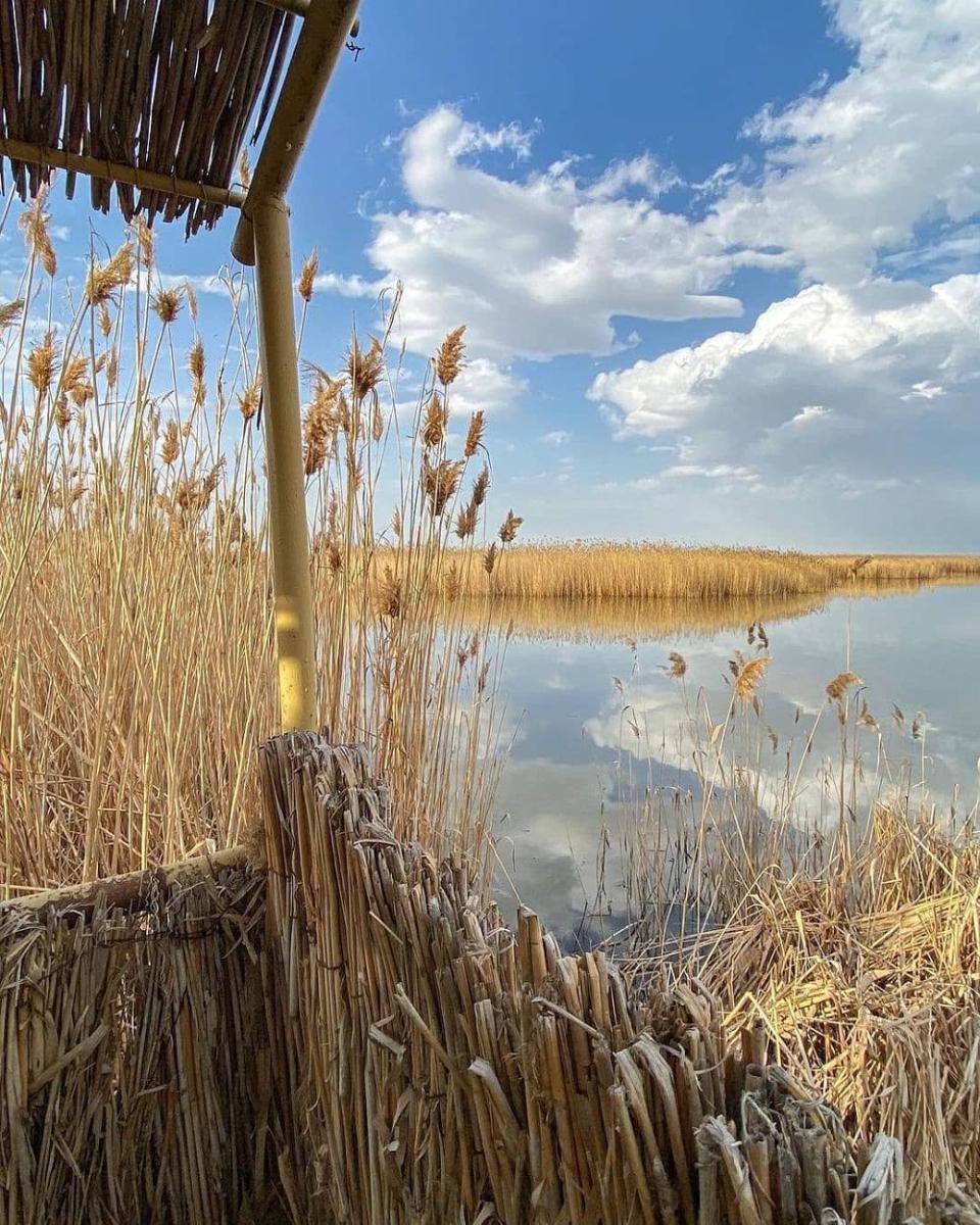 Potret Taman Nasional Shirvan (instagram.com/vividazerbaijan)